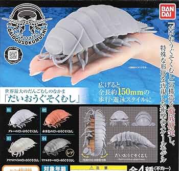 81OP+AMfb2L._AC_UF350,